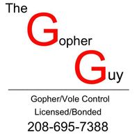 Gopher Guy